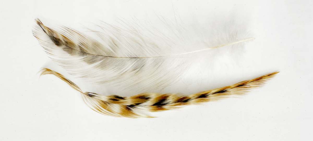 NYAKTOLLAK 5/CS 7 fehér és barna nyaktollak