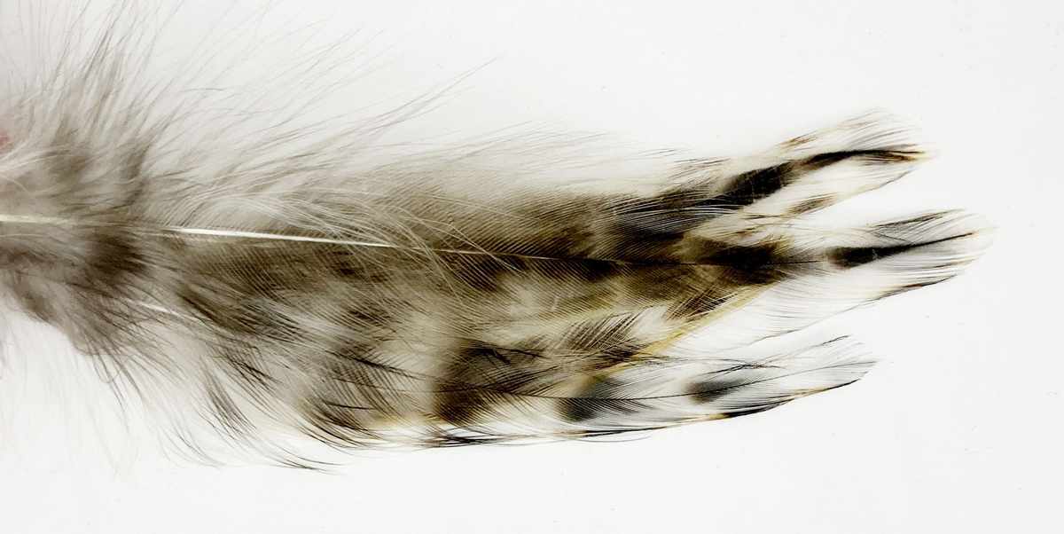 NYAKTOLLAK 5/CS 8 madártollak, madártoll dekor, kreatív alapanyag, kreatív kellék, kreatív dekor kellék