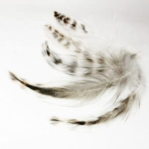 madártollak, madártoll dekor, kreatív alapanyag, kreatív kellék, kreatív dekor kellék