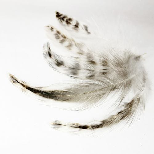 madártollak, madártoll dekor, kreatív alapanyag, kreatív kellék, kreatív dekor kellék