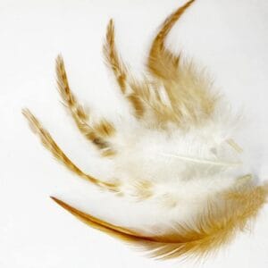 madártollak, madártoll dekor, kreatív alapanyag, kreatív kellék, kreatív dekor kellék