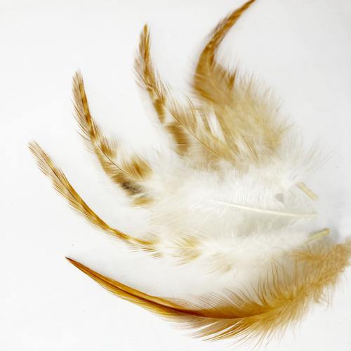 NYAKTOLLAK 5/CS 4 madártollak, madártoll dekor, kreatív alapanyag, kreatív kellék, kreatív dekor kellék