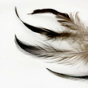 madártollak, madártoll dekor, kreatív alapanyag, kreatív kellék, kreatív dekor kellék
