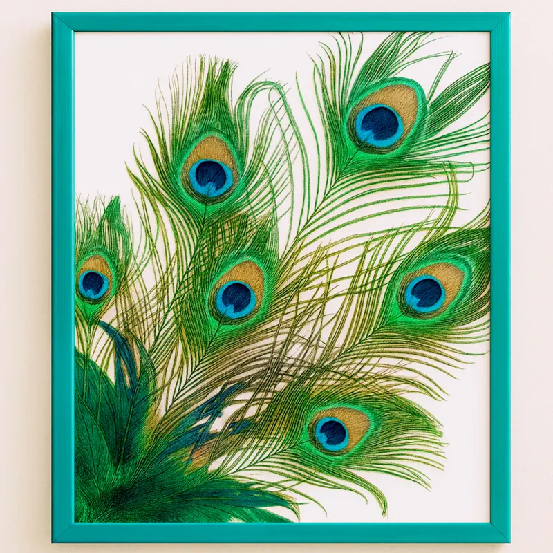 pávatollak képkeretben