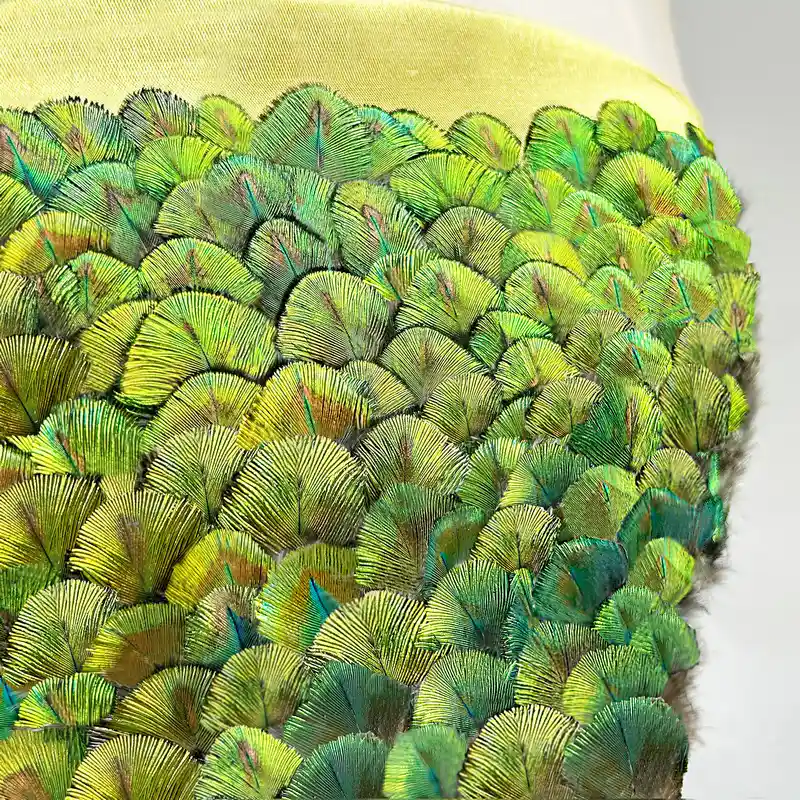 Pava jelmez folso 2 s