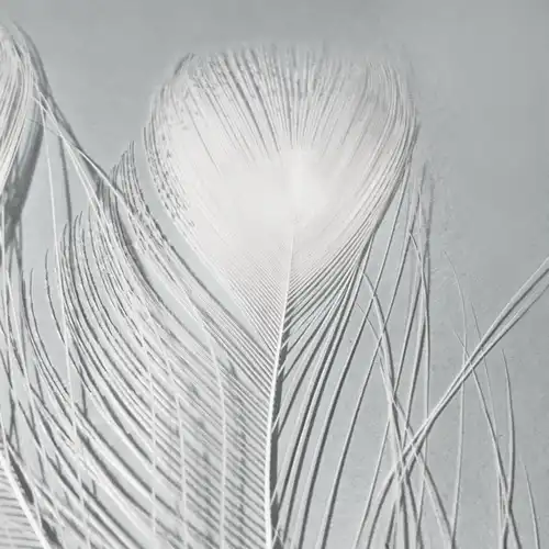 FÉLSZEMES FEHÉR PÁVATOLL 3 Pávatollak