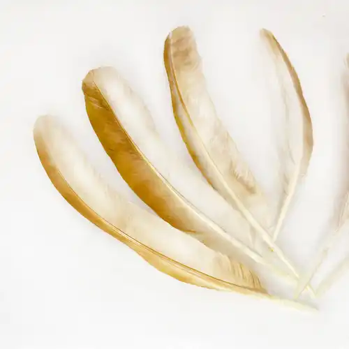 10-20 CM-S BARNA - FEHÉR MADÁRTOLL 10/CS 3 Barna feher tollak 4