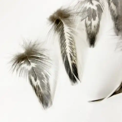 Fekete feher tollpihe 3