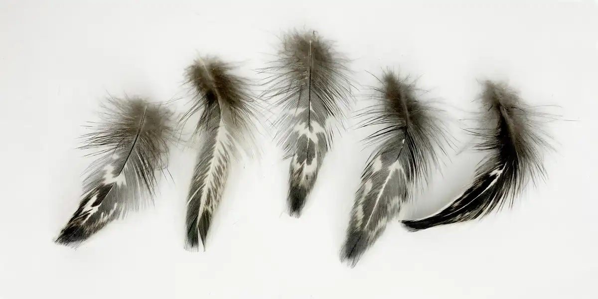 Fekete feher tollpihe 5