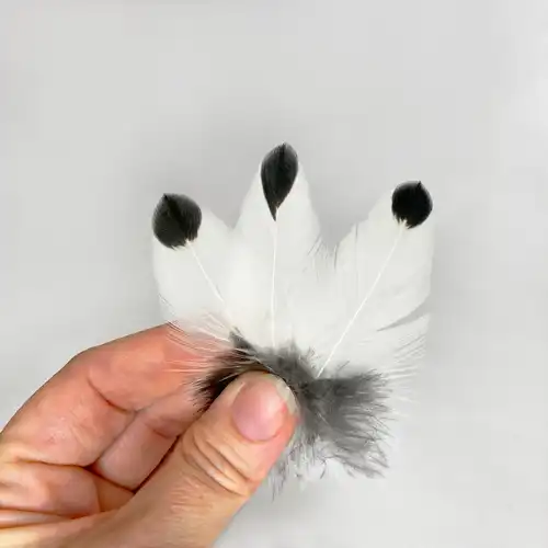 Cseppecske tollpihe 1