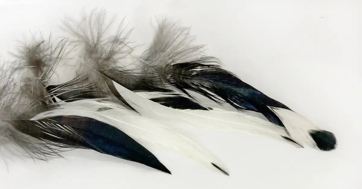 Fekete feher faroktoll 1