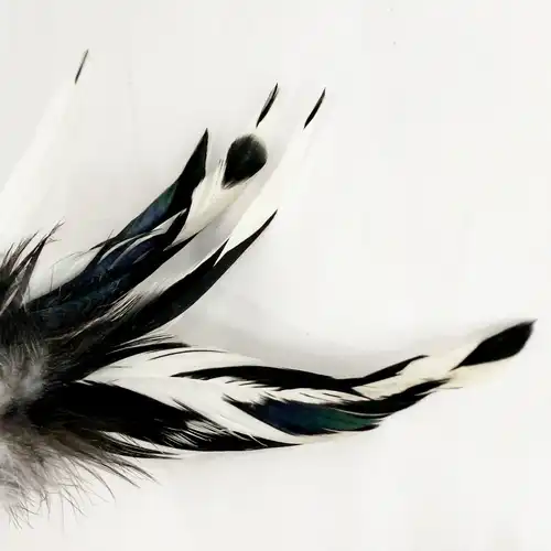 Fekete feher faroktoll 4