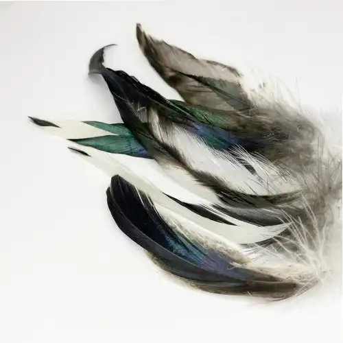 Fekete feher faroktoll 5