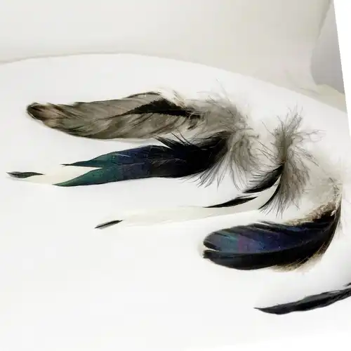 Fekete feher faroktoll 6