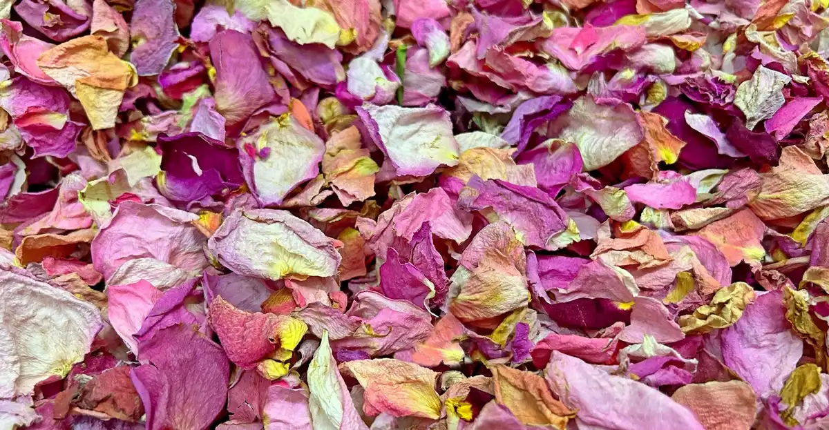 Rozsaszin vegyes szaritott szirom 2