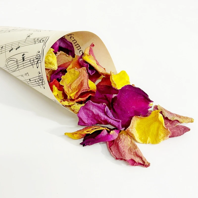 Piros sarga lila szirom 1