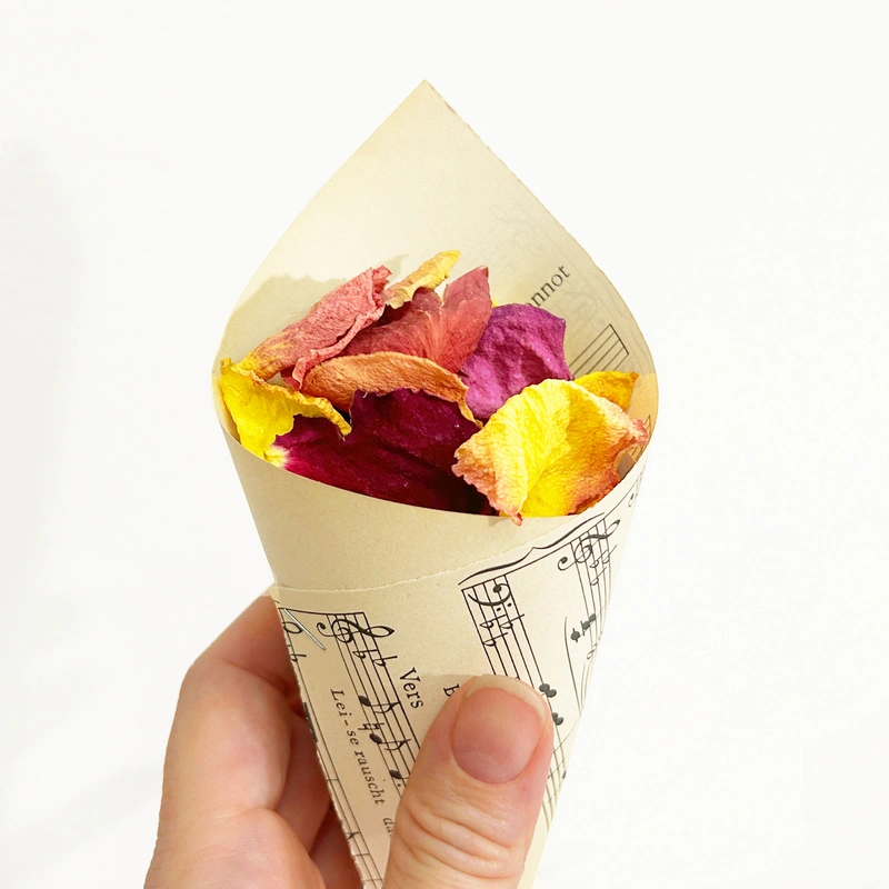 Piros sarga lila szirom 2