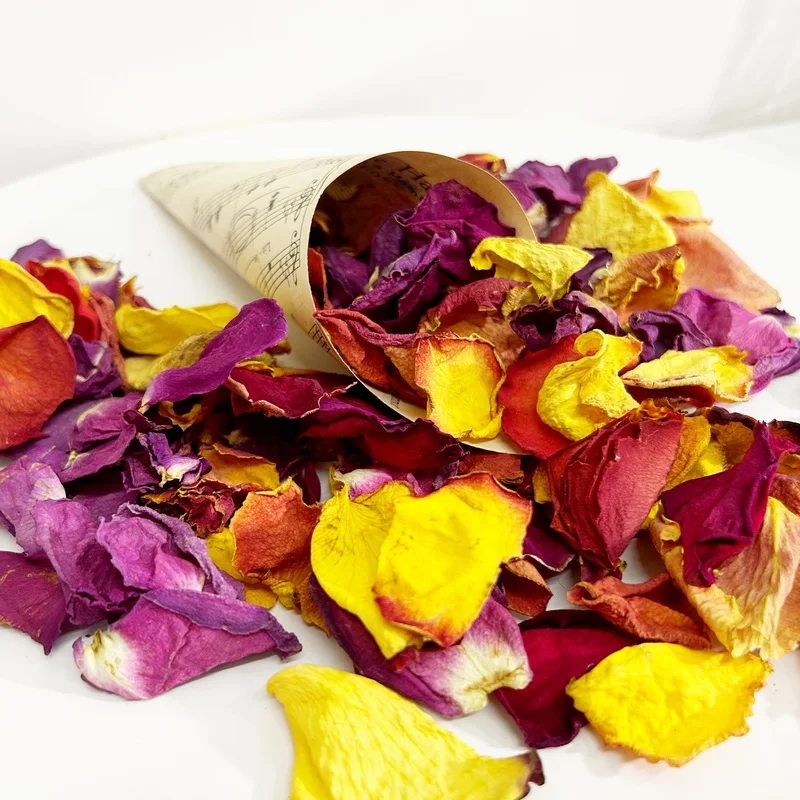 Piros sarga lila szirom 3