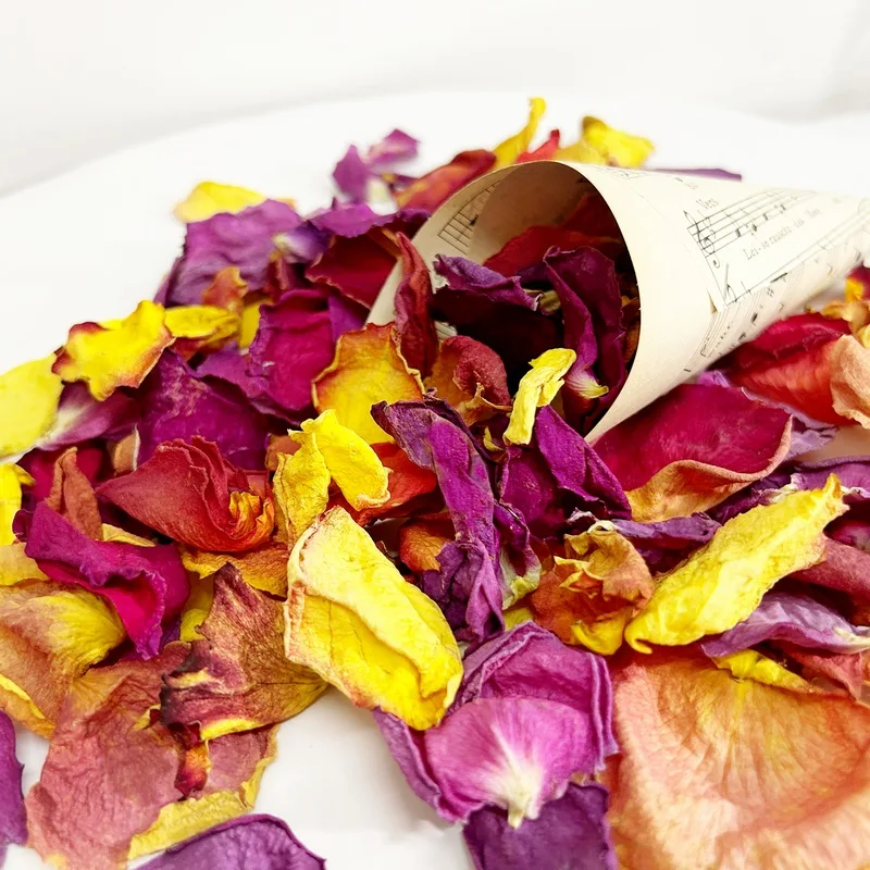 Piros sarga lila szirom 4