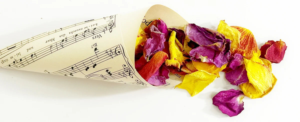 Piros sarga lila szirom 7