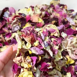 rengeteg tarka szirom lila színben