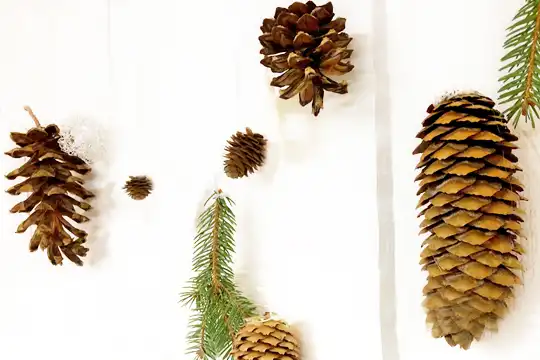 őszi toboz dekorációk