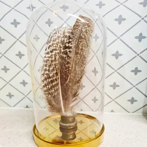 asztali tolldísz búrában