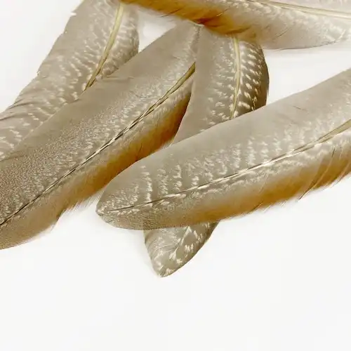 BARNÁS GYÖNGYÖS MADÁRTOLL 10/CS 1 Barnas gyongyostollak 4