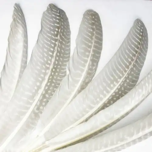 Ezust gyongyostoll 1