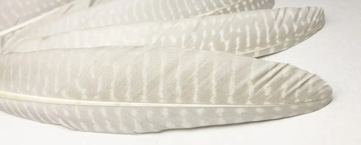 Ezust gyongyostoll 2