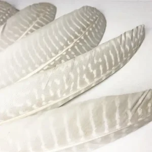 EZÜST GYÖNGYÖS MADÁRTOLL 10/CS