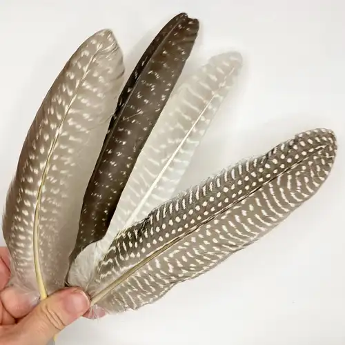 Gyongyos toll variaciok