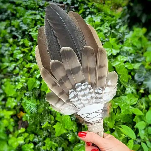 Legyező madártollakból