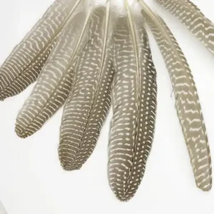 EZÜST GYÖNGYÖS MADÁRTOLL 10/CS 7 SZÜRKÉS GYÖNGYÖS MADÁRTOLL 10/CS