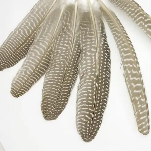 SZÜRKÉS GYÖNGYÖS MADÁRTOLL 10/CS 1 Vilagos szurkes gyongyostoll 2