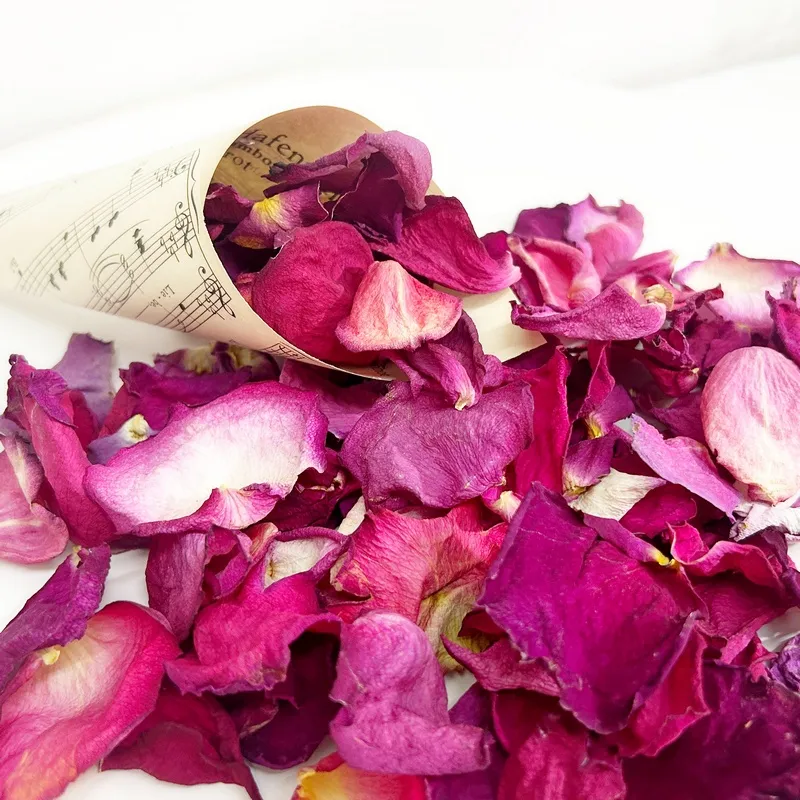 Szaritott rozsaszirom magenta 1