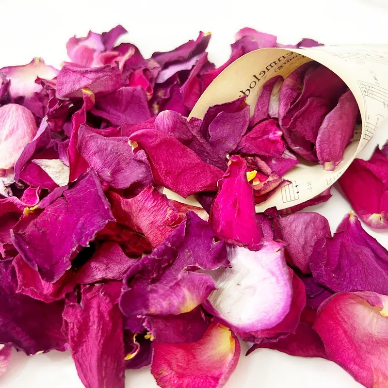 Szaritott rozsaszirom magenta 2