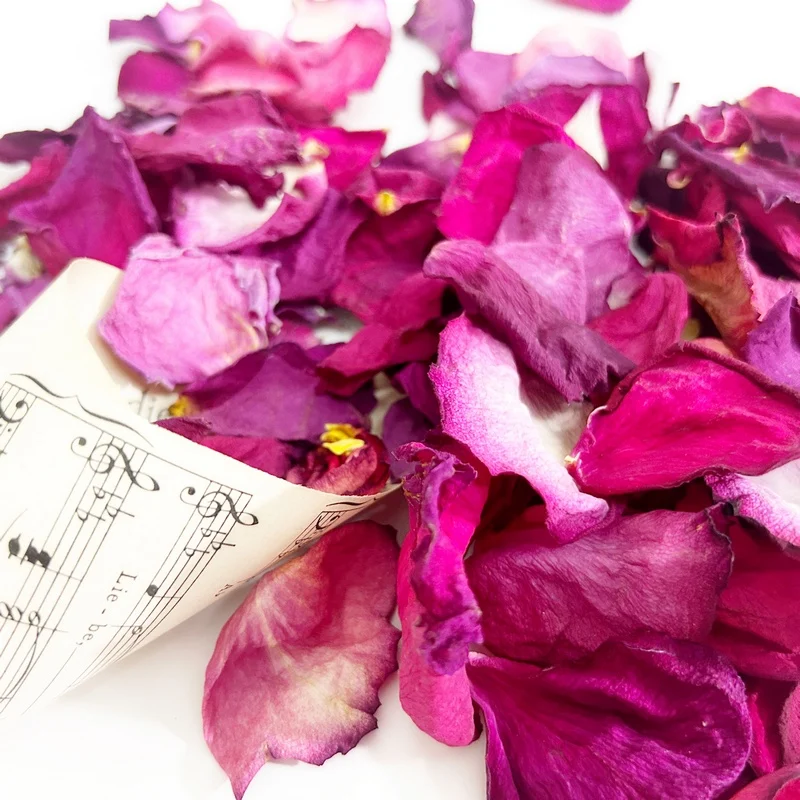 Szaritott rozsaszirom magenta 3