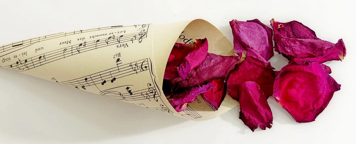 Szaritott rozsaszirom magenta 6