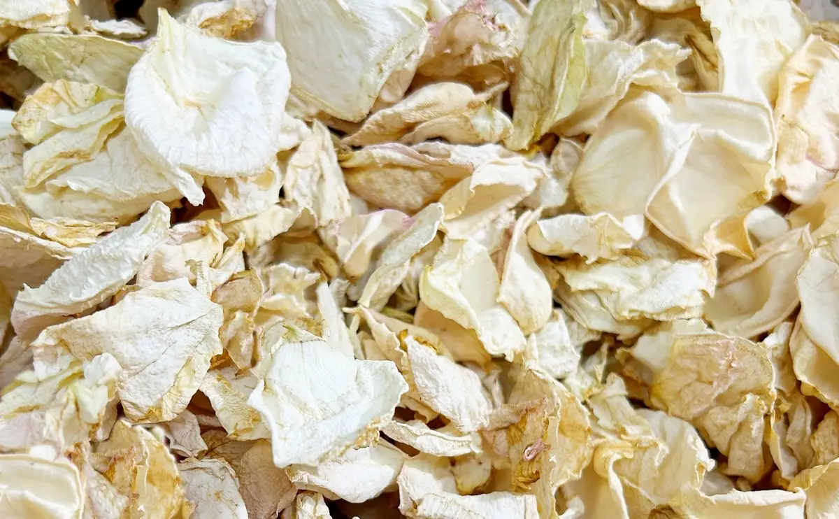 Sziromszoras bezs szaritott szirom 8