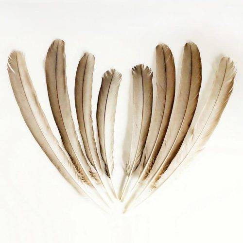 madártollak, madártoll dekor, kreatív alapanyag, kreatív kellék, kreatív dekor kellék